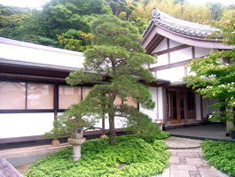 E寺 剪定 手入れ