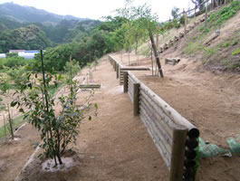 M邸 法面緑化
