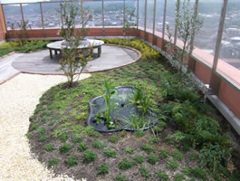 S病院 屋上緑化