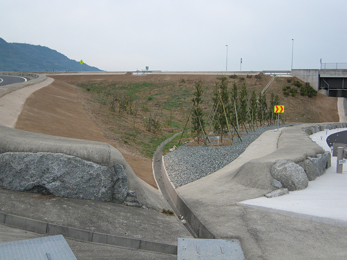497号 道路植栽
