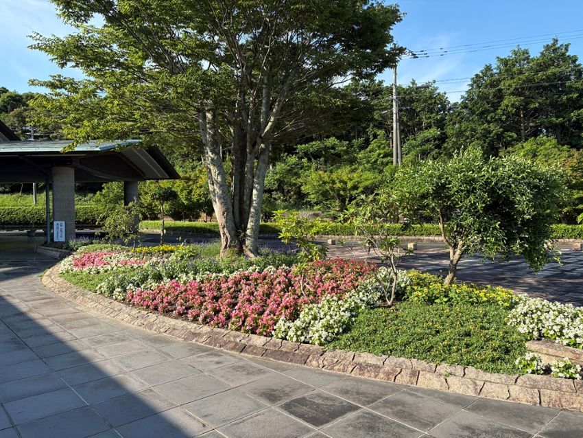 大平山斎苑にて樹木移植他、花植付作業をしました。