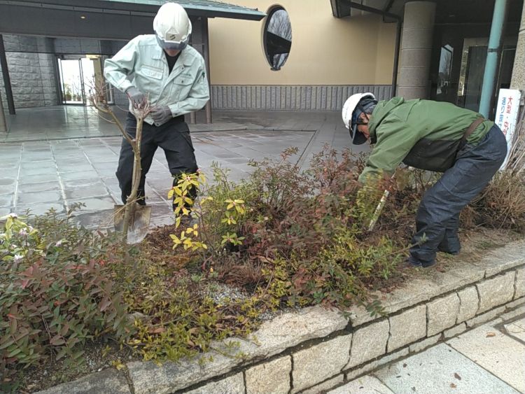 13堀取状況