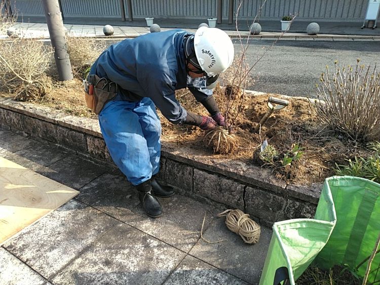 14堀取状況