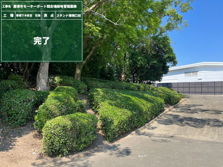 ⑤