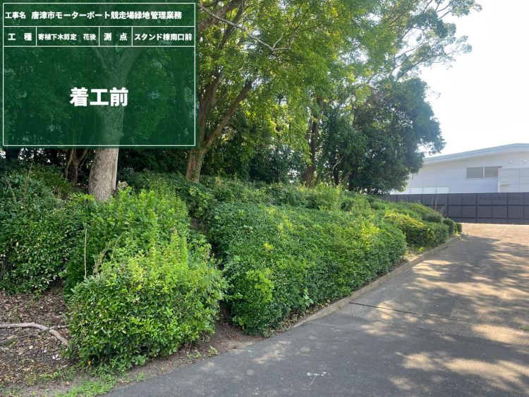 ④