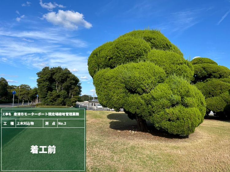 ⑫