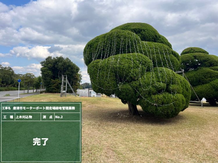 ⑬