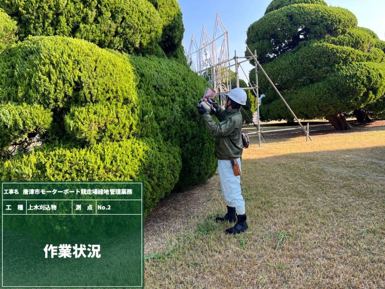 ⑭