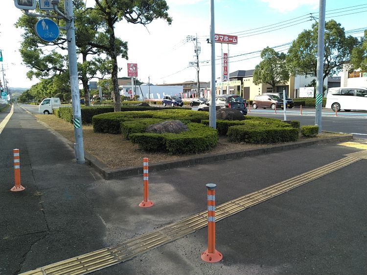 令和6年度 道路保全国道204号道路橋りょう保全委託(緑化対策)を行いました。