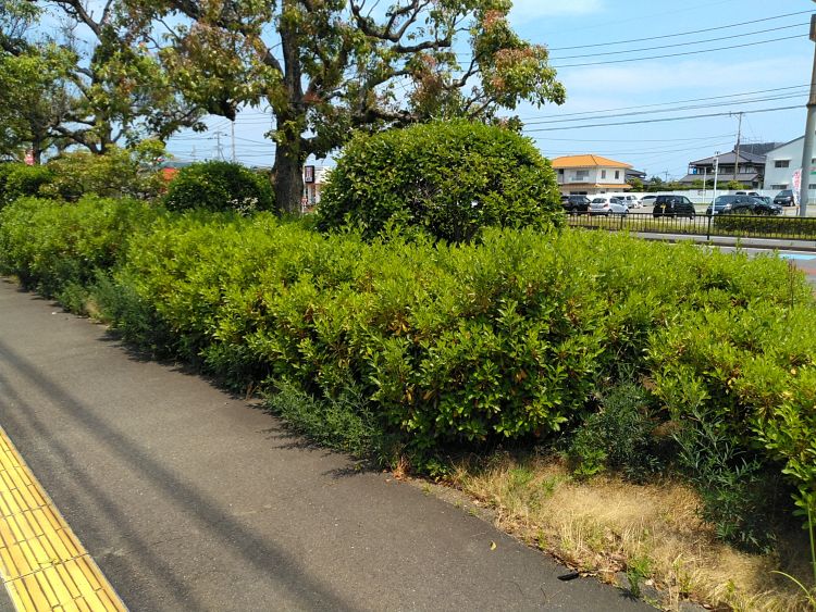 ⑫国道