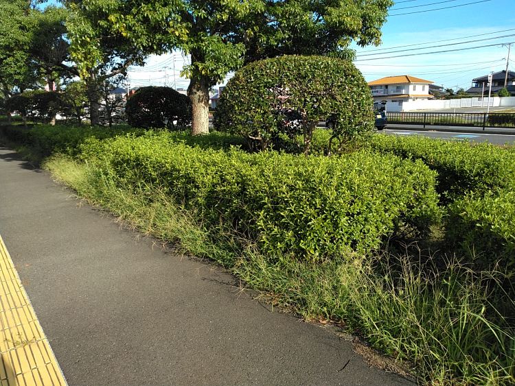 ⑭国道