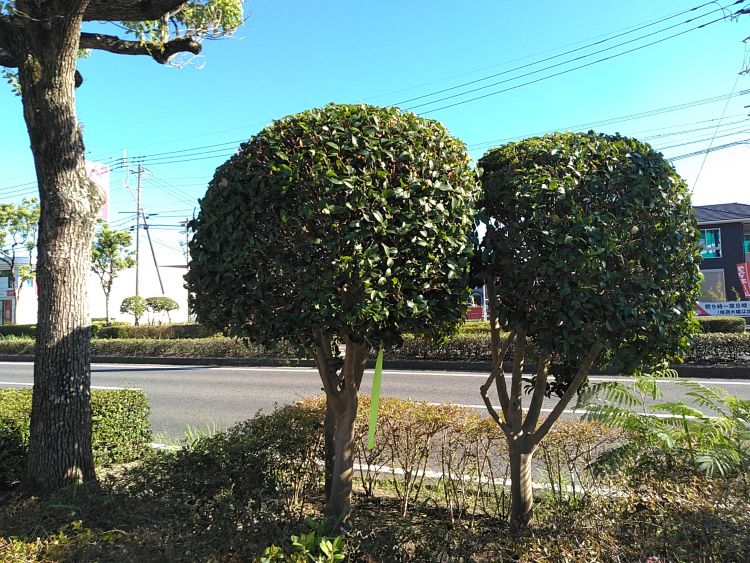 ⑱国道