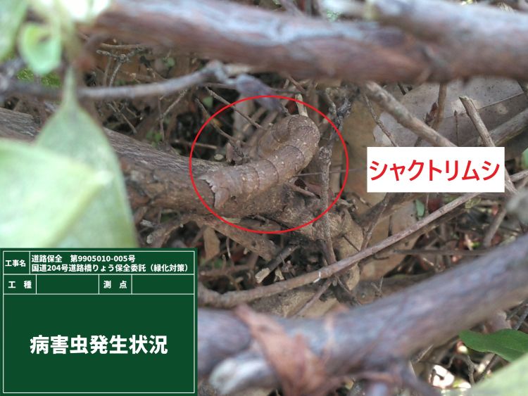 ⑳国道