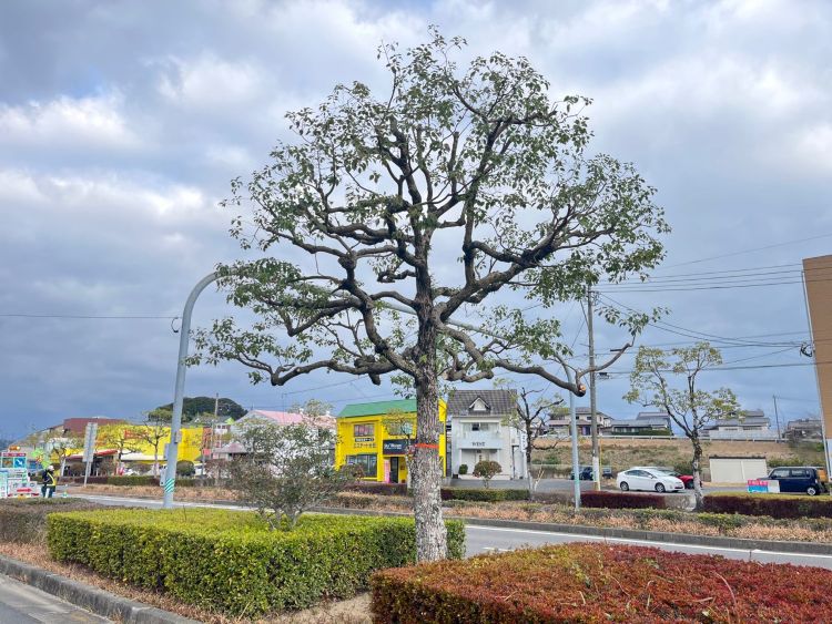 ㉖国道
