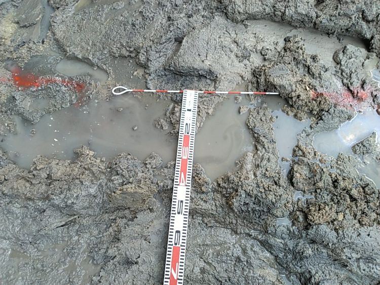 １４.着工前（水分）