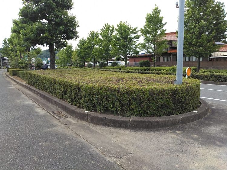 令和7年度　道路保全国道204号道路橋りょう保全委託(緑化対策)を行いました。